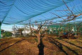 防砂・防風・目隠し・防じん・飛散防止ネット
