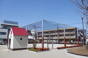 KS-T型|天井ネット付き箱型防球ネット