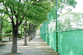 カラー粉体仕上げ