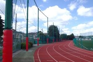 セイフティーガード（柱クッション材）