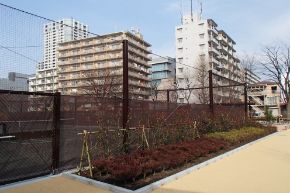 防風、防砂、防塵、目隠しネット