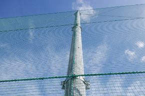 推奨される地域や条件